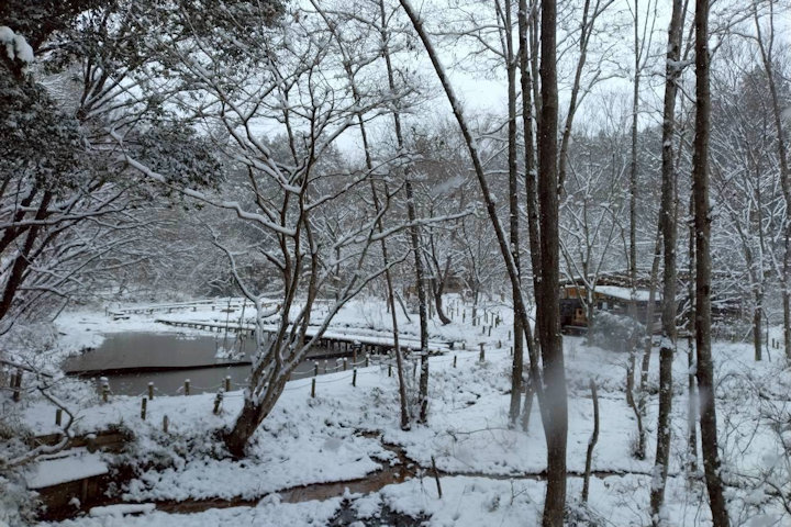 �V�_�̗���i�F